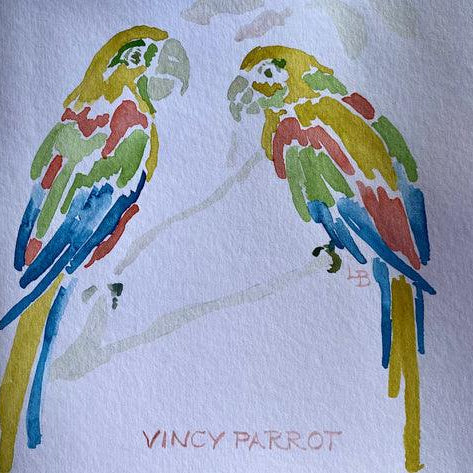 Vincy Parrot