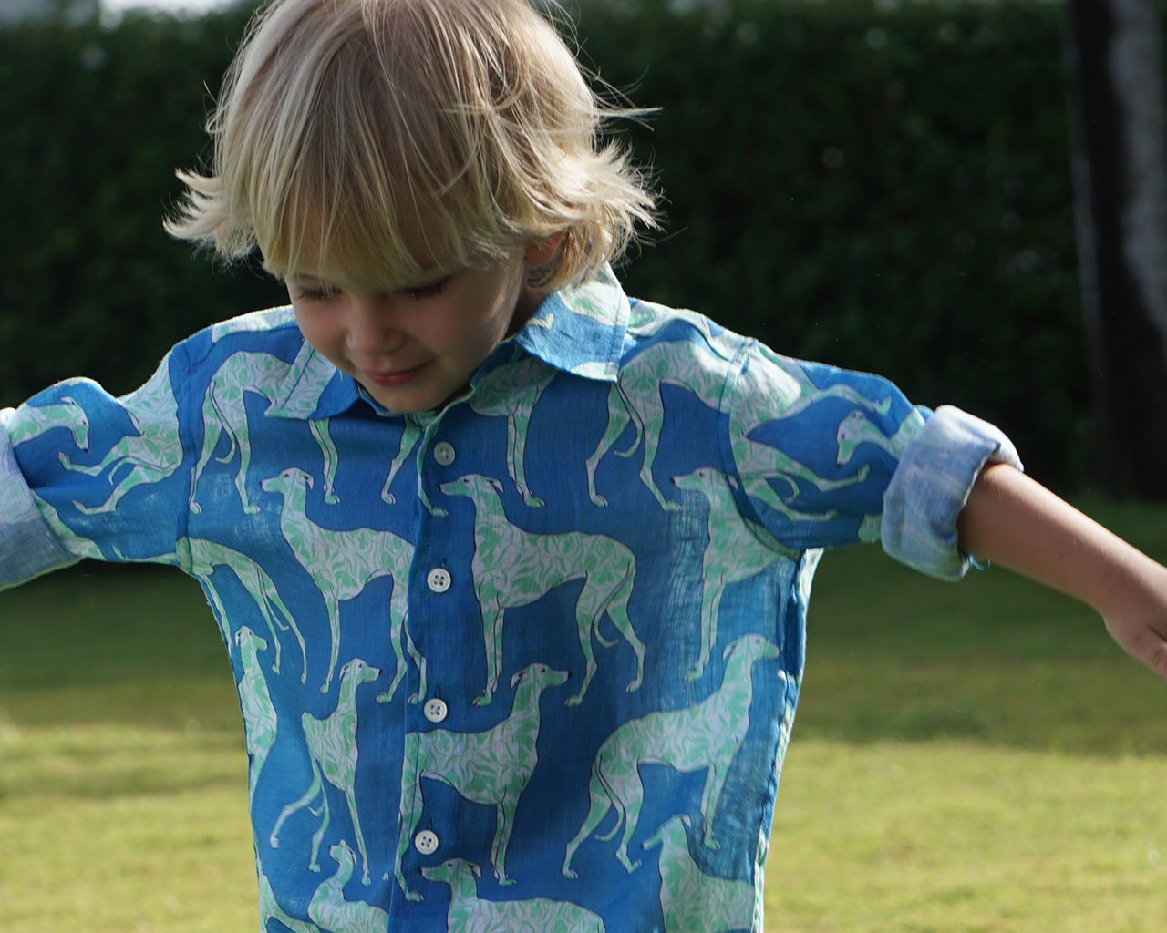 A firm family favourite, this print is inspired by the elegant poise of beautiful long dogs in old masters paintings.