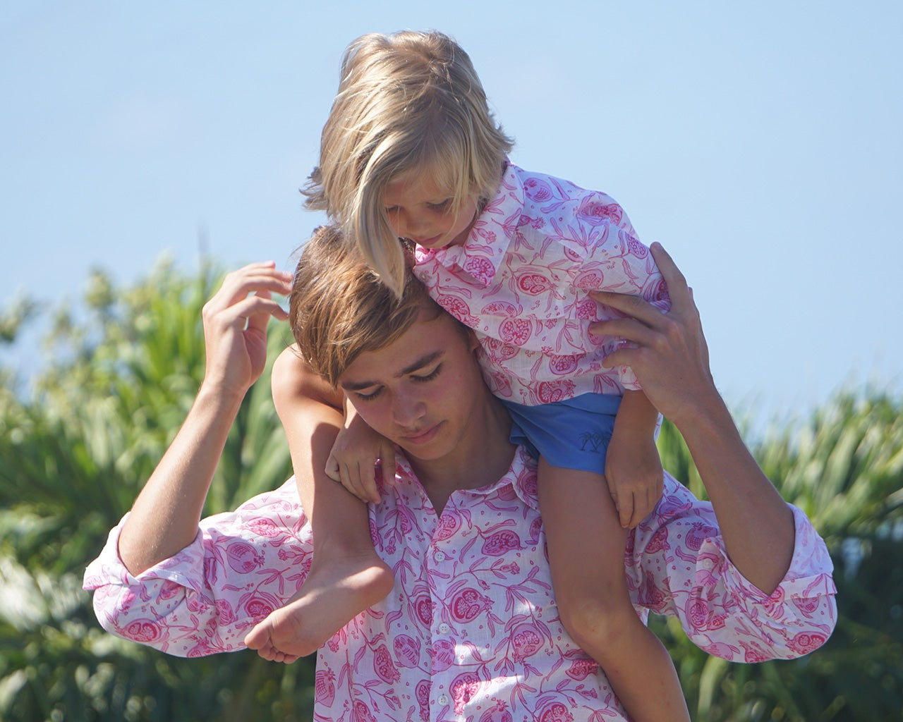 Pomegranate Print Collection