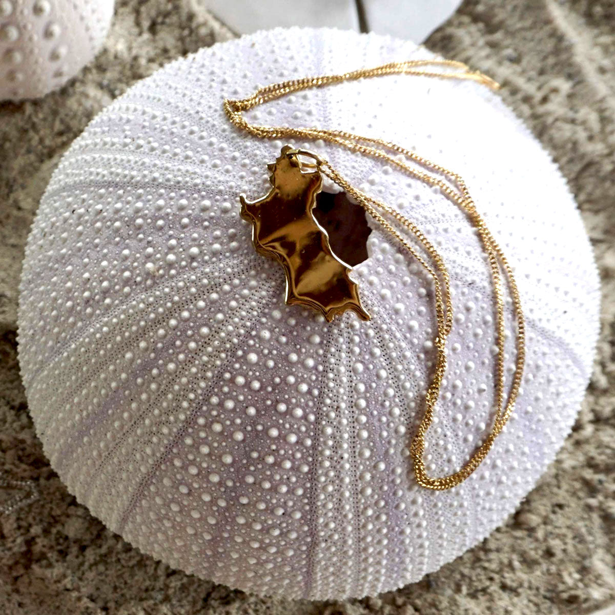 Solid gold pendant on a chain displayed on a sea urchin on a the beach