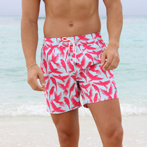 Beach vacation men's swim shorts in turquoise blue and coral red Parrot print by designer Lotty B