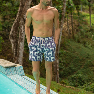 Mens swim shorts: LURCHER - AUBERGINE