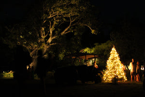 Christmas Tree at the Bamboo Church Mustique
