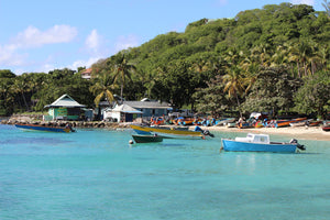 Fish Market Mustique