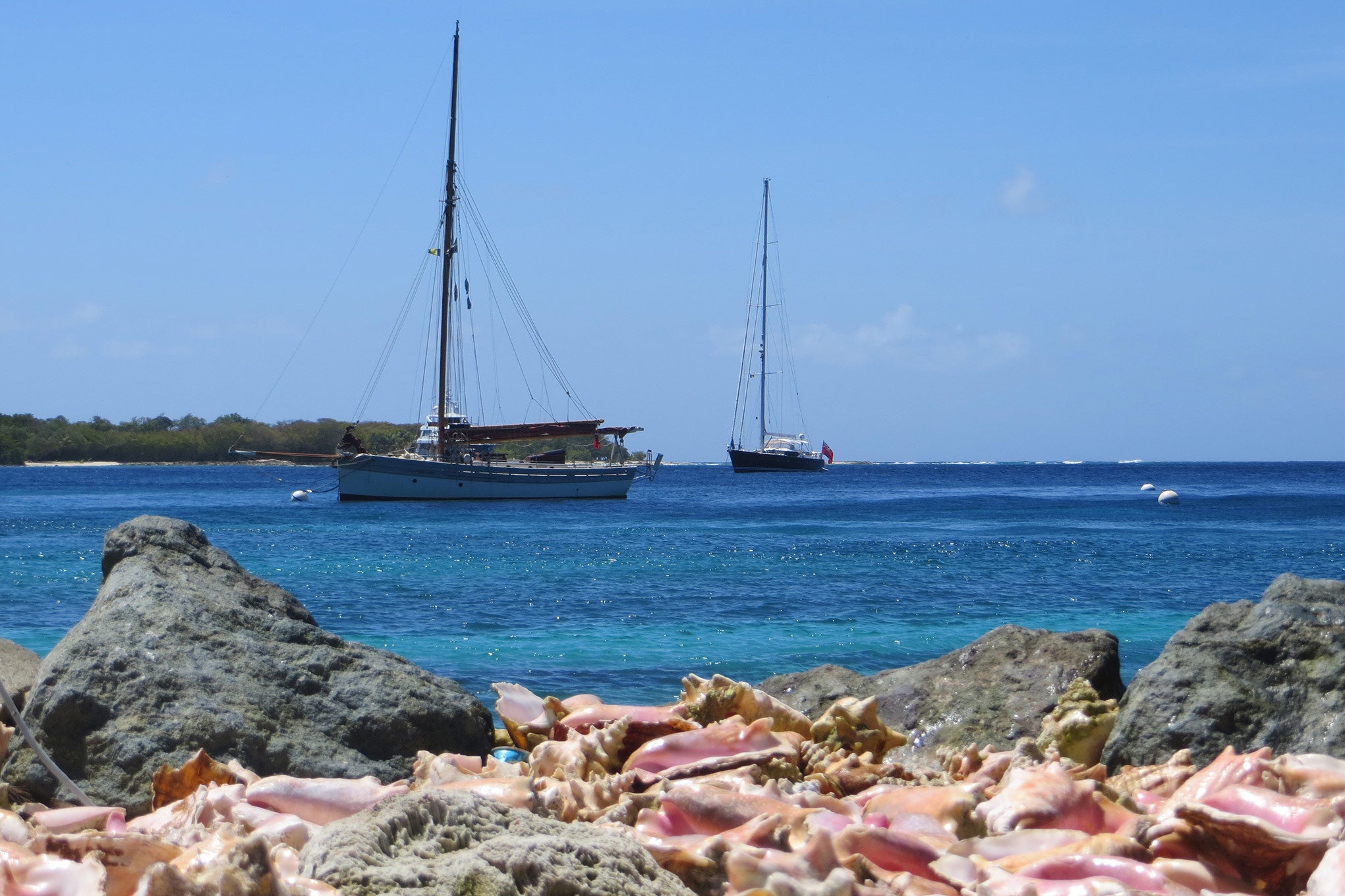 From the Fish Market across the conch shells