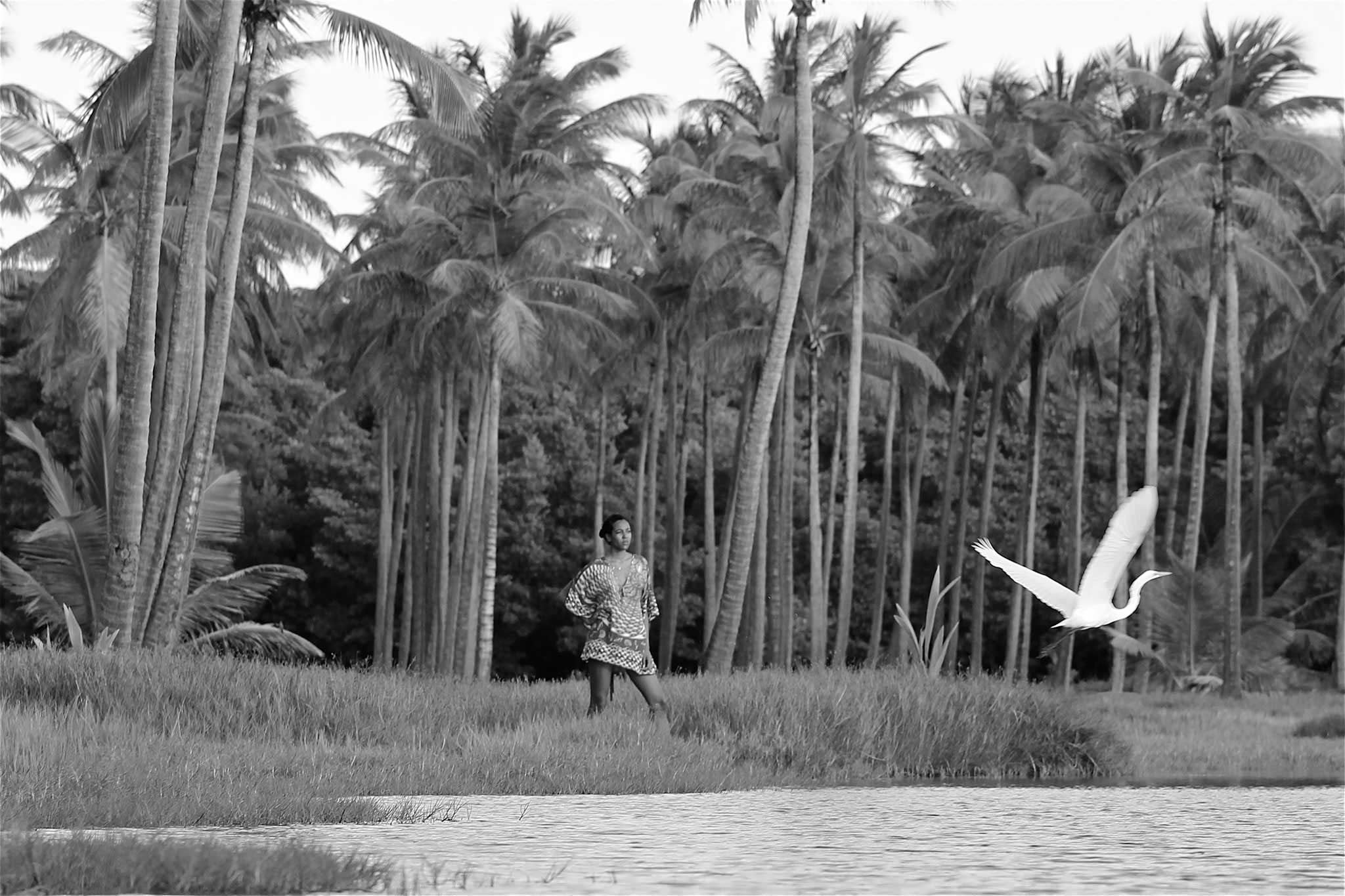 Mustique Nature