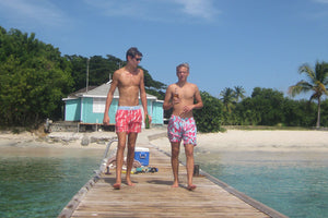 Mustique Picnics