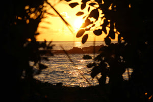 Mustique Sunsets