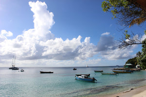 View across the bay from the Pink House