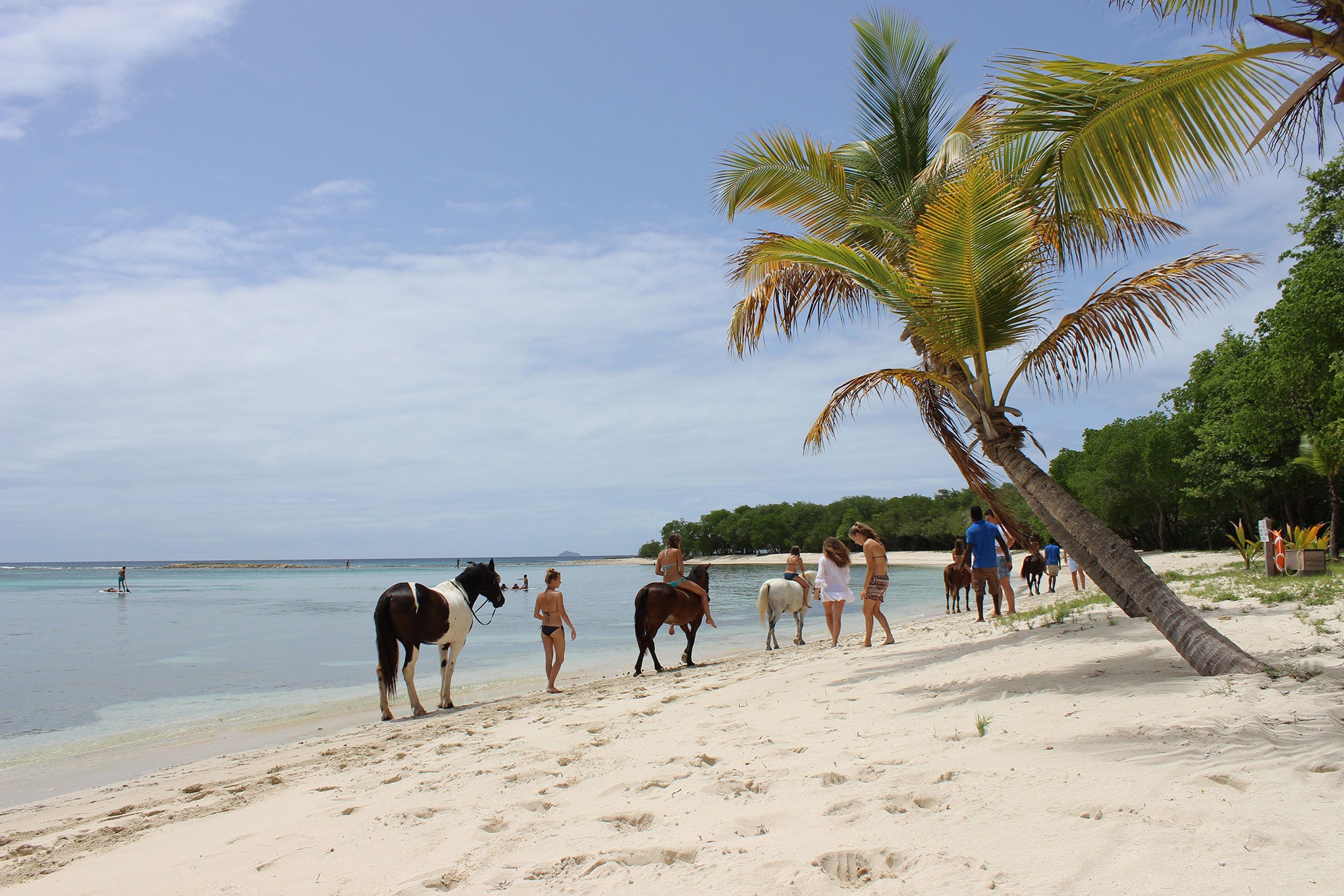 Horse riding at Lagoon Bay Mustique