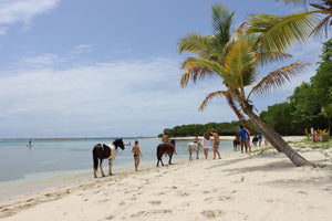 Horse riding at Lagoon Bay Mustique