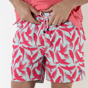 Designer swim shorts in turquoise blue and coral red Parrot print by designer Lotty B