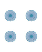 Set of 4 fine bone china side plates in Palms Azure Blue pattern by Pink House Mustique, handmade in England.