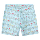 Mens swim trunks : MUSTIQUE MULE - MULTI back