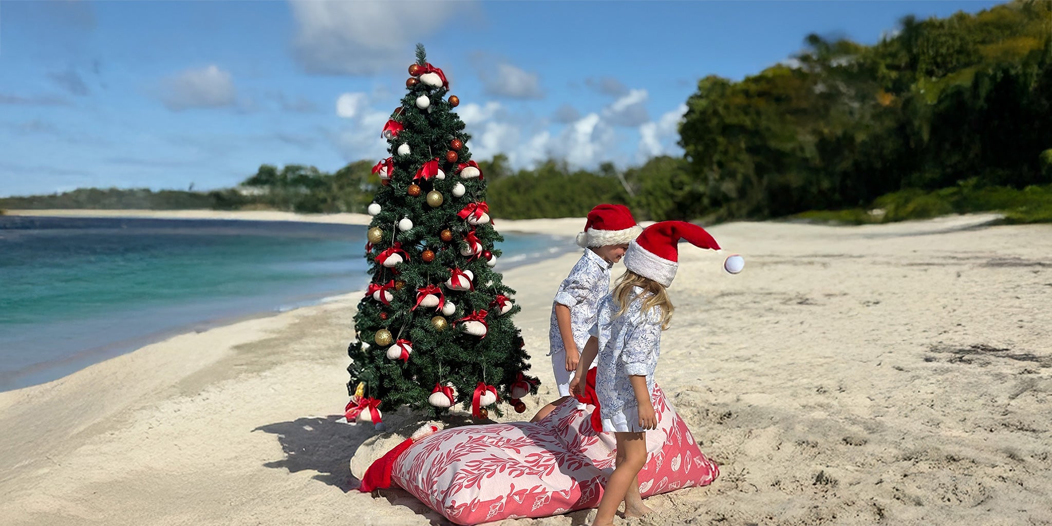 Wishing you a very merry Christmas and a Happy New Year from all at The Pink House Mustique