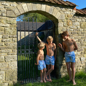 Boys swim shorts: PROTEA - BLUE / WHITE
