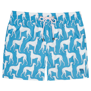 Mens swim shorts: LURCHER - BLUE