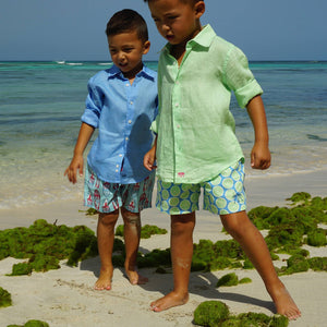 Boys swim shorts: LIME SLICE - GREEN BLUE